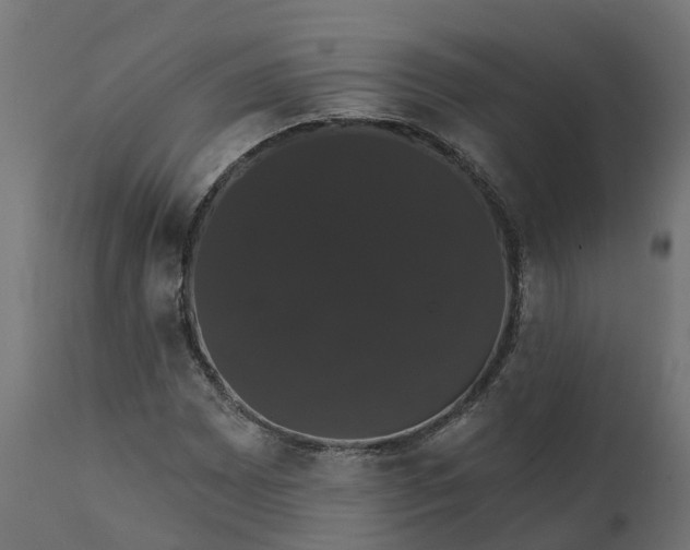 X0000111521065200907281333