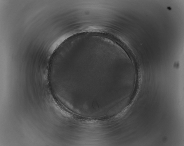X0000111521066200907281333