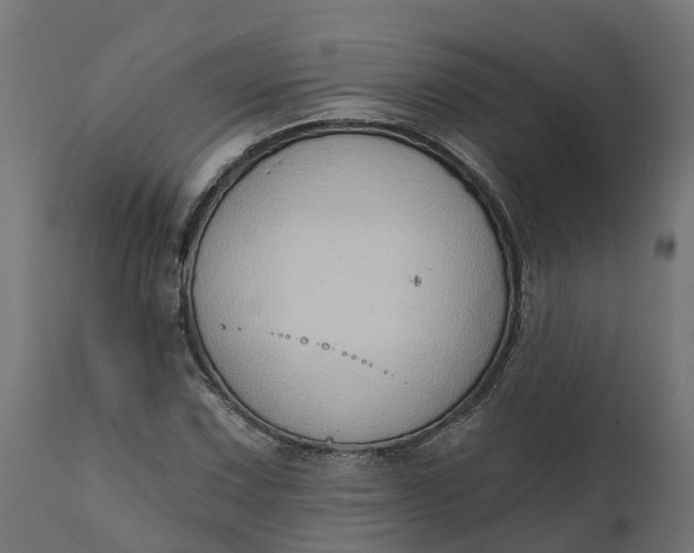 X0000111521067200907281333