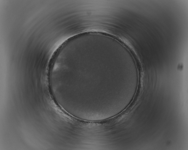 X0000111521068200907281333