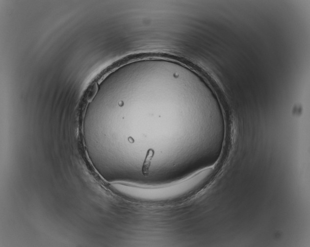X0000111521069200907281333