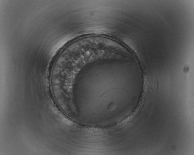 X0000111521071200907281333