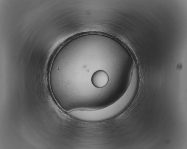 X0000111521072200907281333