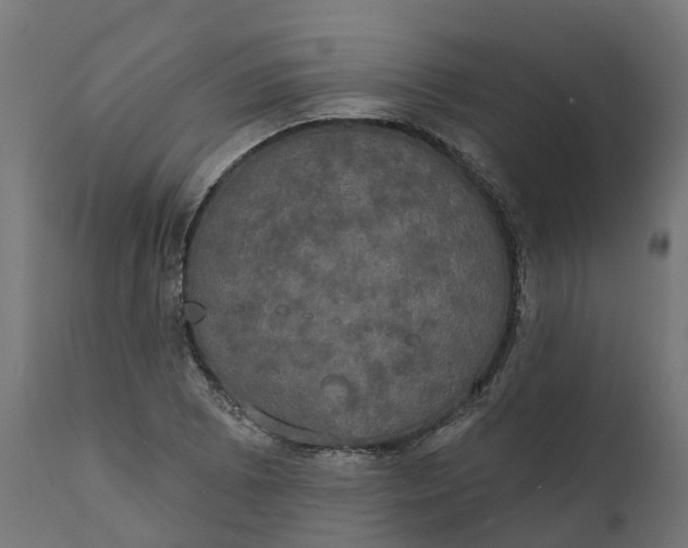 X0000111521073200907281333
