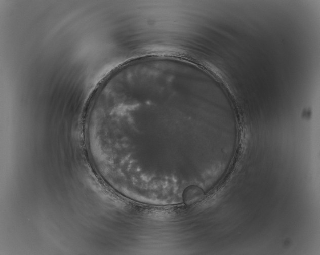 X0000111521074200907281333