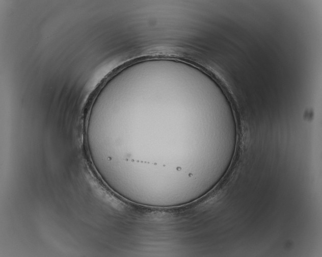 X0000111521075200907281333