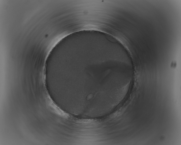 X0000111521076200907281333