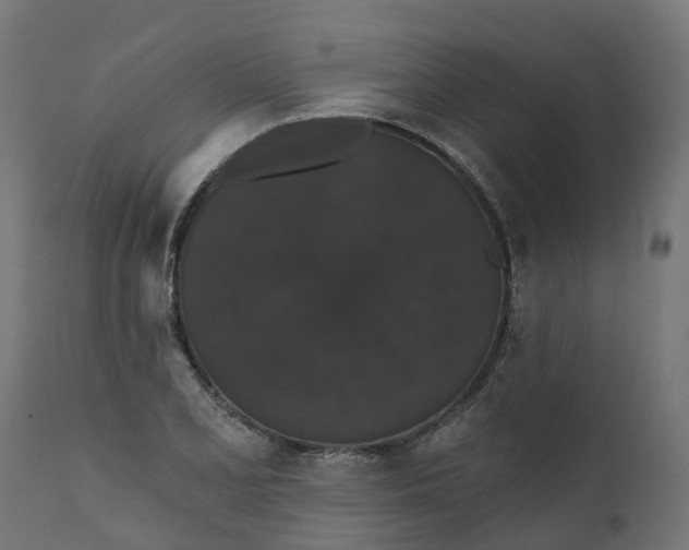 X0000111521077200907281333
