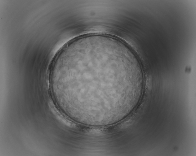 X0000111521078200907281333