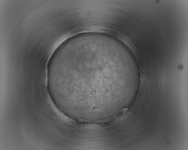 X0000111521079200907281333