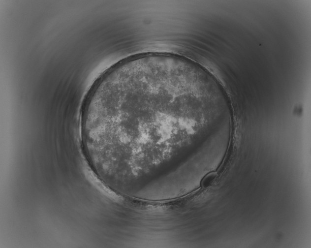 X0000111521080200907281333