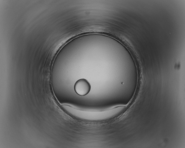 X0000111521081200907281333
