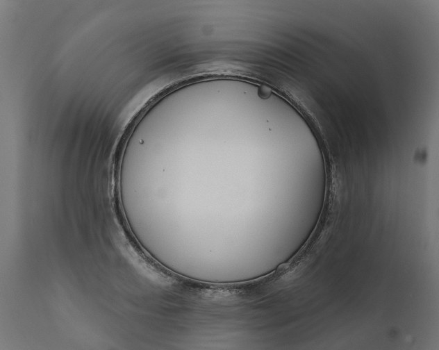 X0000111521082200907281333