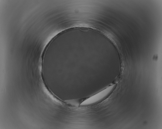 X0000111521084200907281333