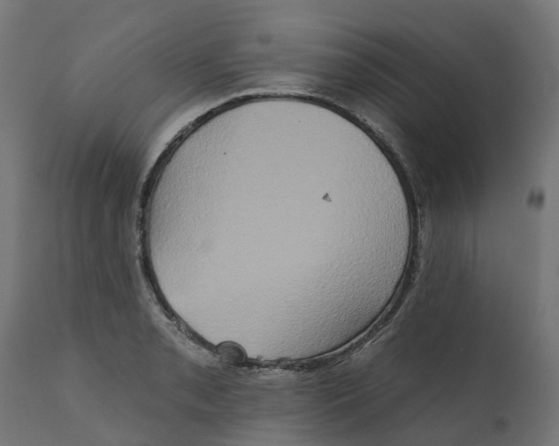 X0000111521085200907281333