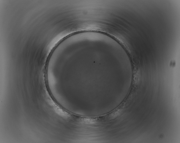 X0000111521086200907281333