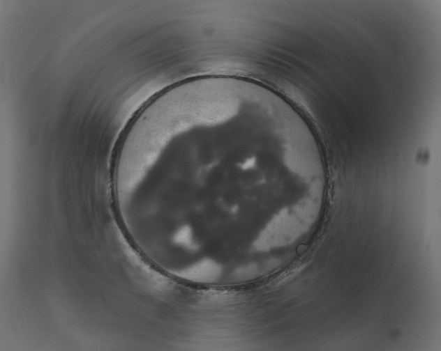 X0000111521087200907281333
