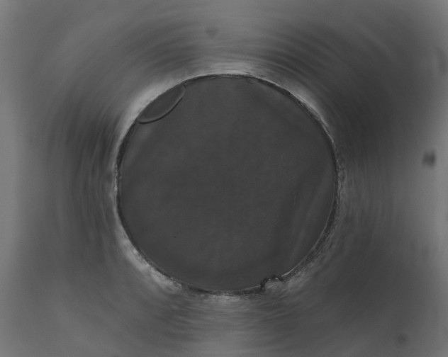 X0000111521088200907281333