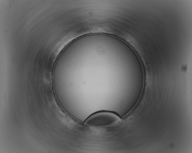 X0000111521089200907281333