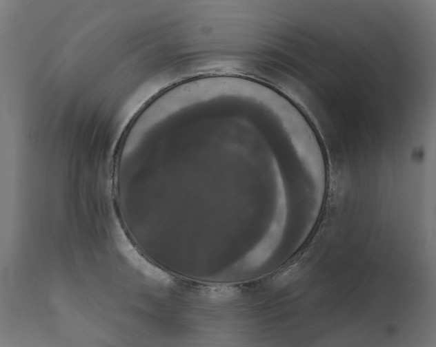 X0000111521090200907281333