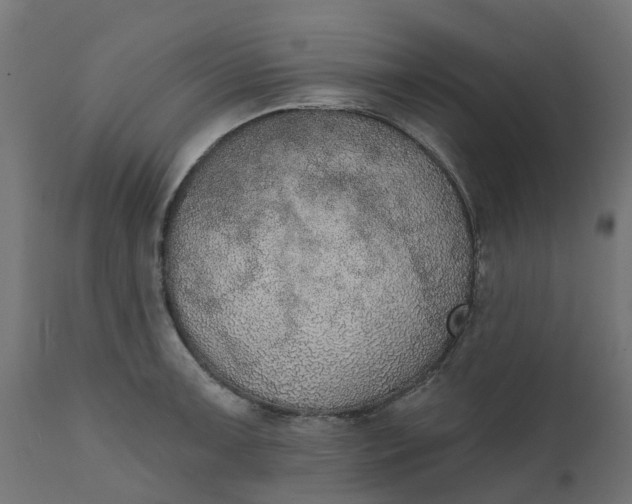 X0000111521091200907281333