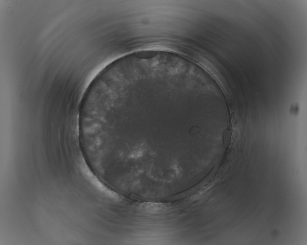 X0000111521092200907281333