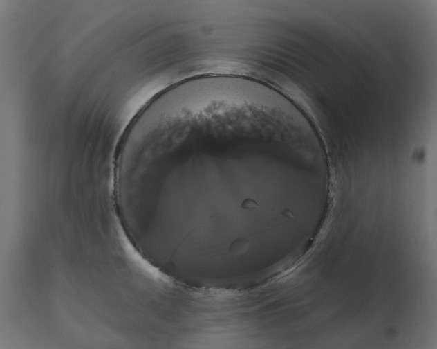 X0000111521095200907281332