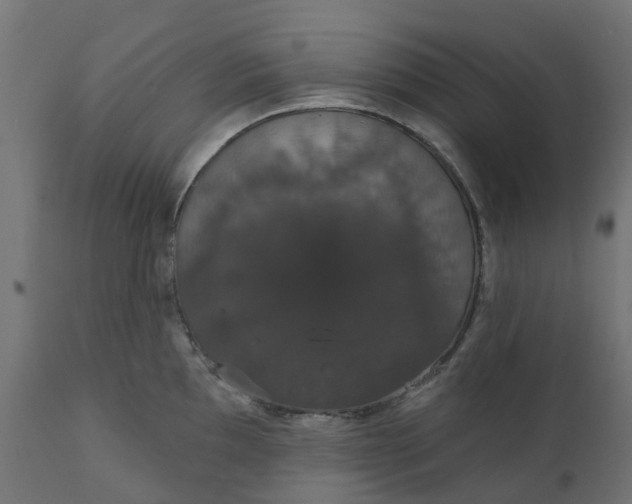 X0000111521097200907281332