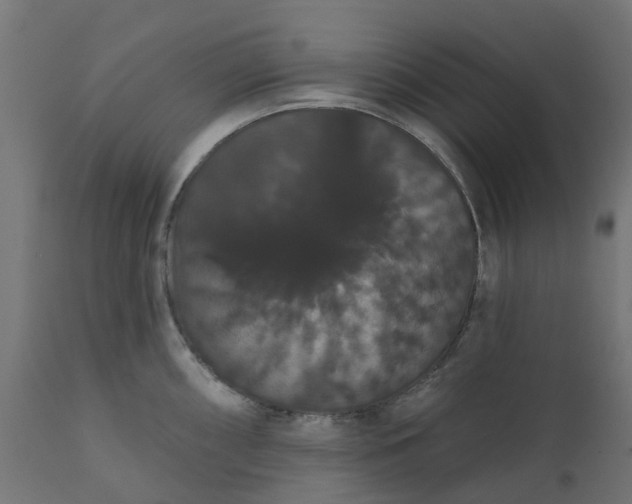 X0000111521098200907281332