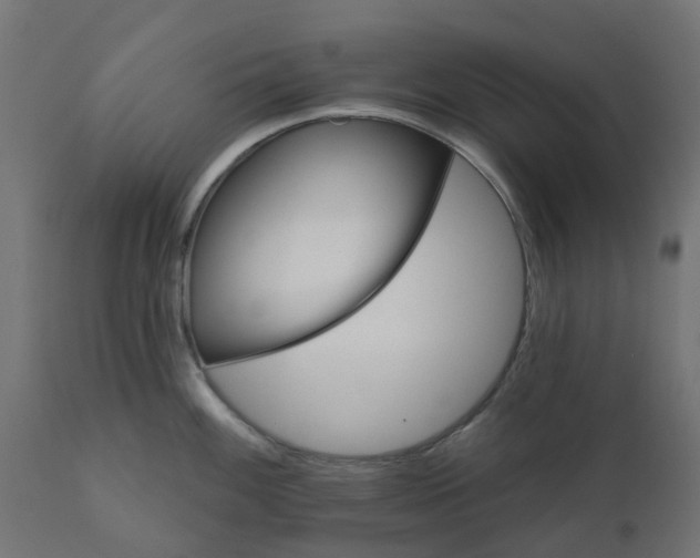 X0000111521100200907281332