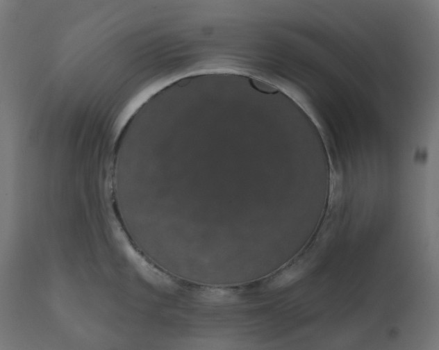 X0000111521101200907281332