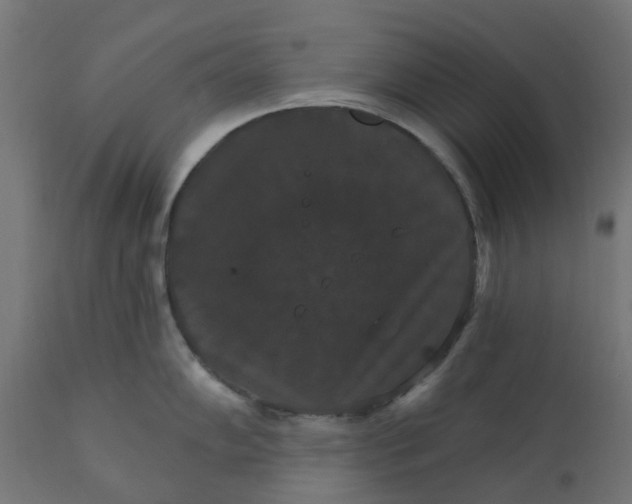 X0000111521102200907281332