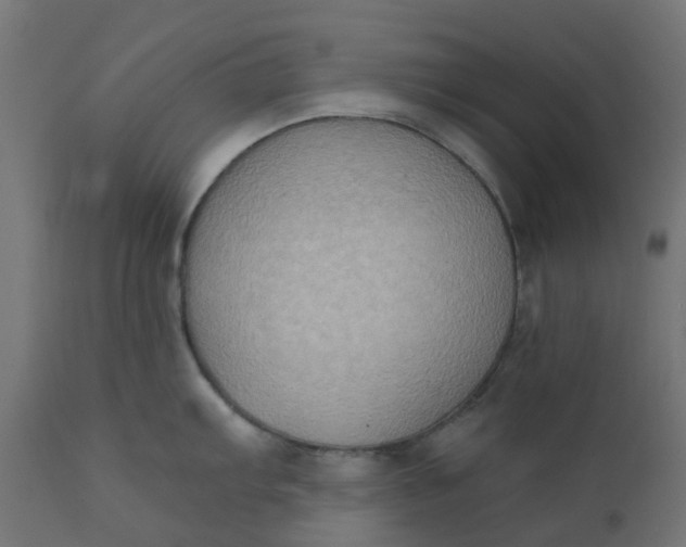 X0000111521103200907281332