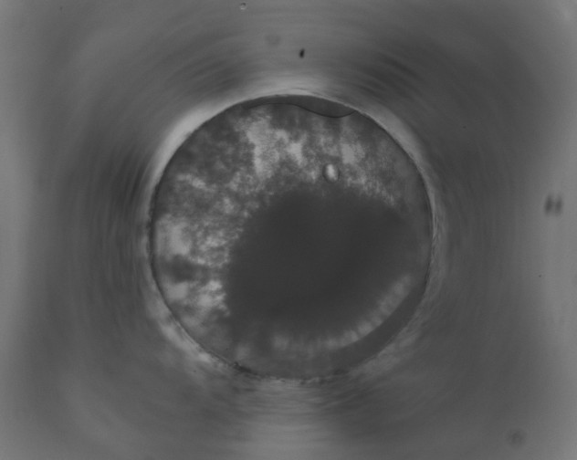 X0000111521104200907281332