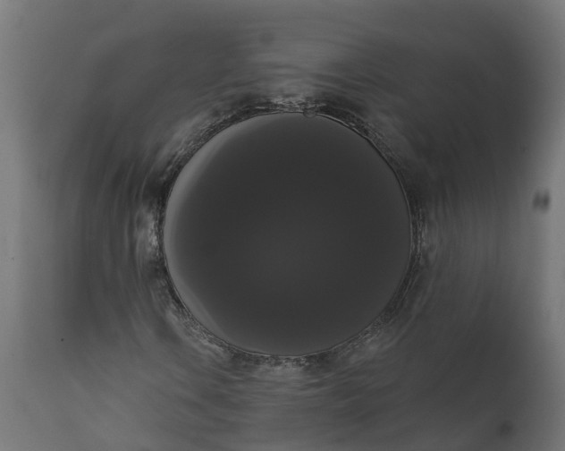 X0000111521106200907281332