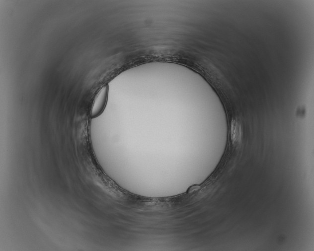 X0000111521107200907281332