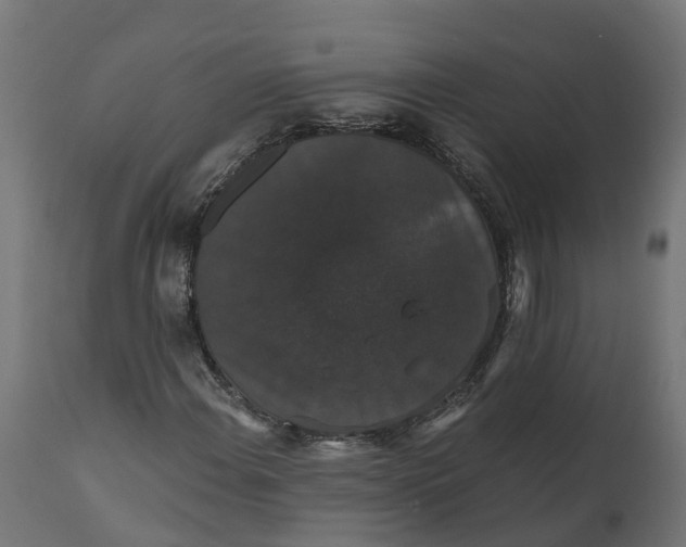 X0000111521108200907281332