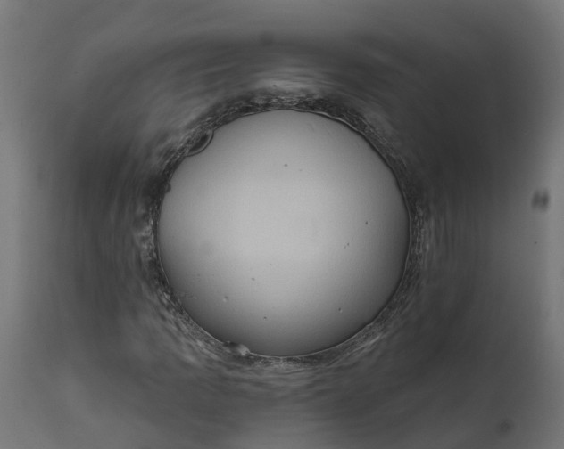 X0000111521109200907281332
