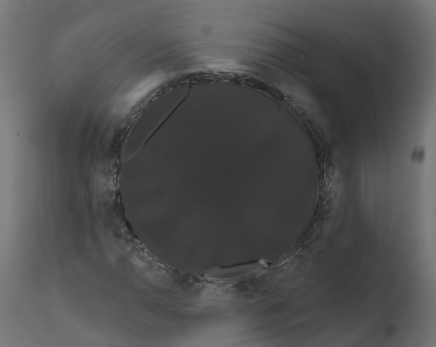 X0000111521110200907281332