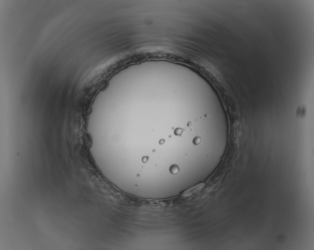 X0000111521111200907281332