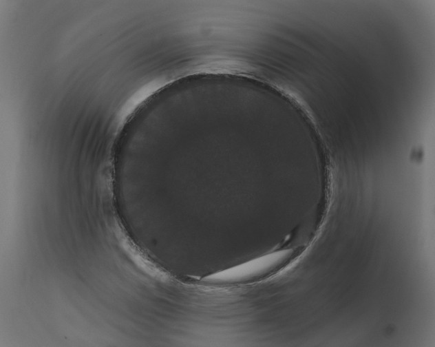 X0000111521114200907281332