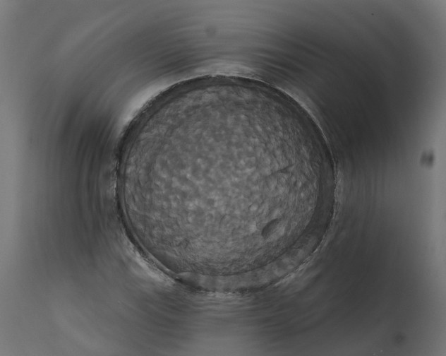 X0000111521115200907281332