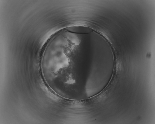 X0000111521116200907281332