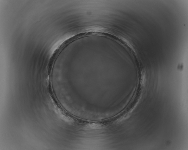 X0000111521117200907281332