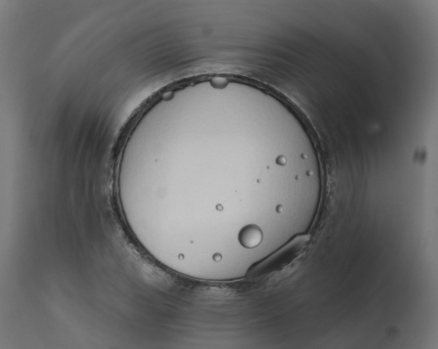 X0000111521119200907281332