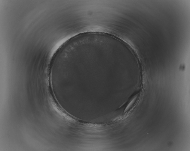 X0000111521120200907281332