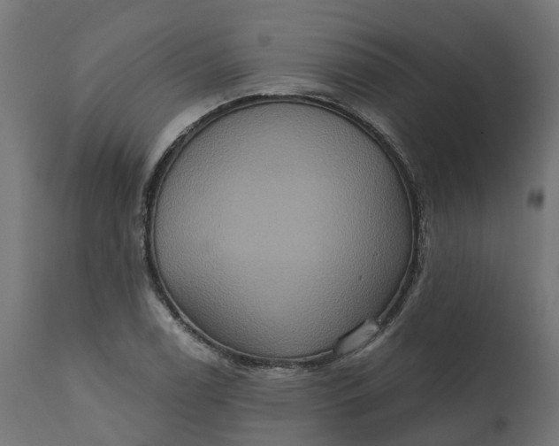 X0000111521122200907281332