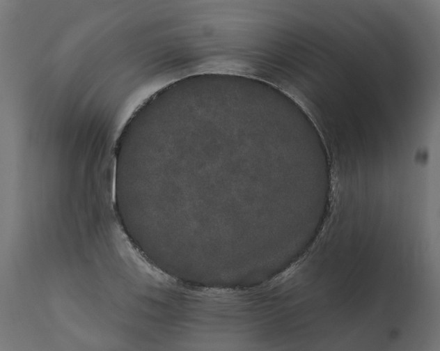 X0000111521123200907281332