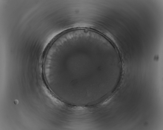 X0000111521124200907281332
