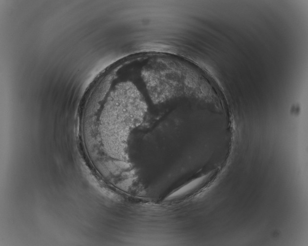 X0000111521125200907281332